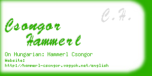 csongor hammerl business card